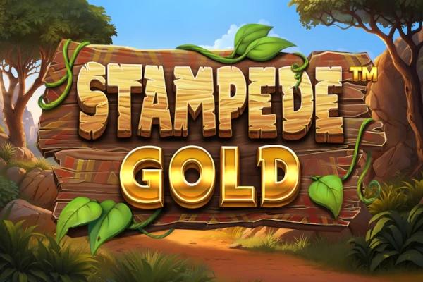 Stampede Gold