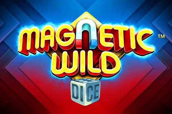 Magnetic Wild Dice