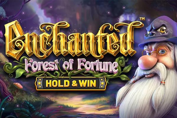 Enchanted Forest of Fortune Dice